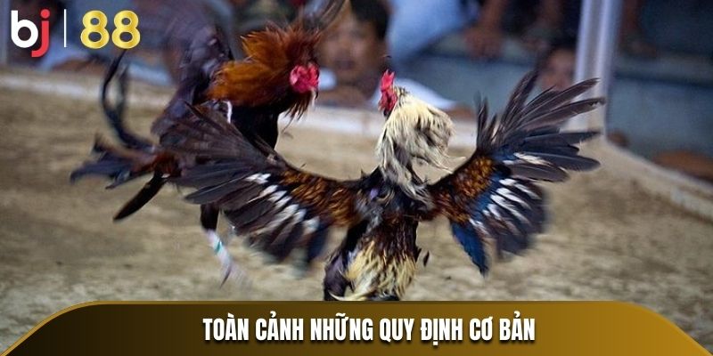 Toàn cảnh những quy định cơ bản