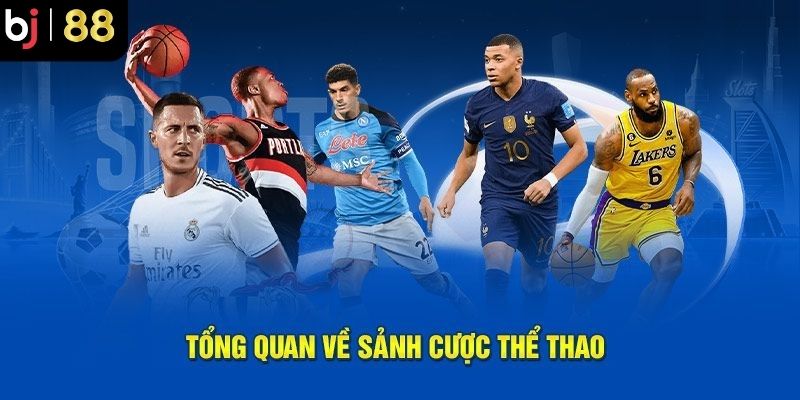 Quy trình trải nghiệm sảnh thể thao cơ bản cho newbie