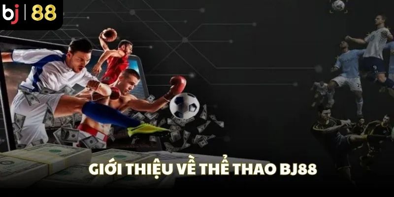 Tổng quan thông tin chung về sảnh thể thao BJ88